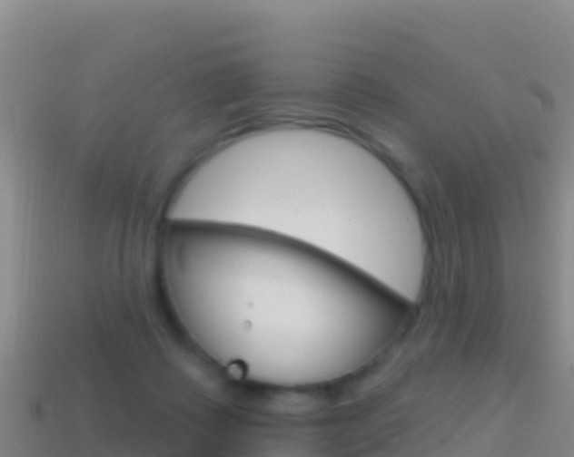 X0000114630315200910201027
