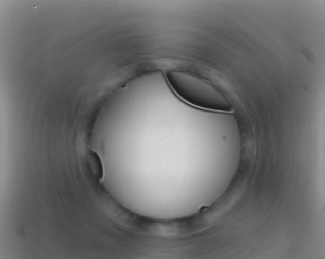 X0000114630317200910201027