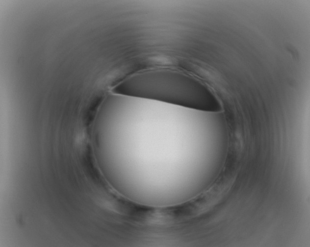 X0000114630320200910201027