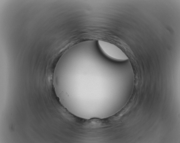 X0000114630329200910201027