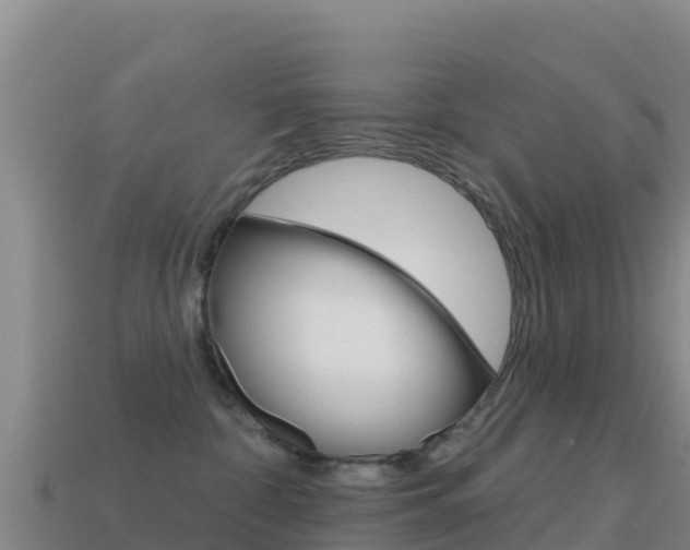 X0000114630332200910201027