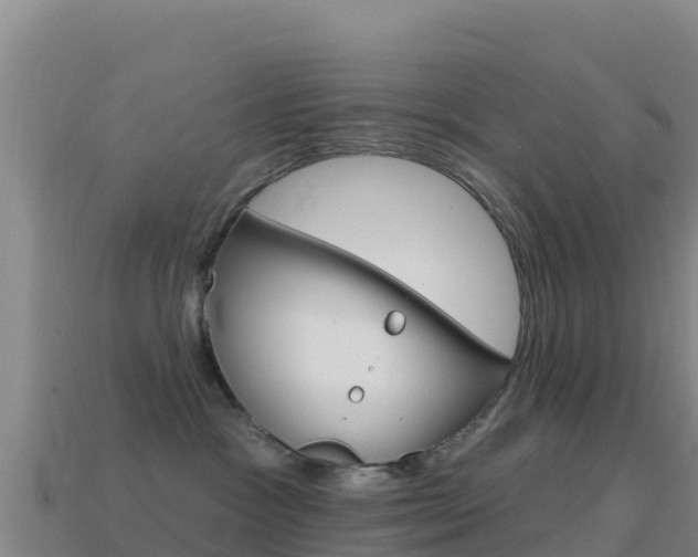 X0000114630333200910201027
