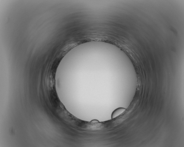 X0000114630334200910201027