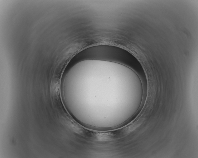 X0000114630336200910201027
