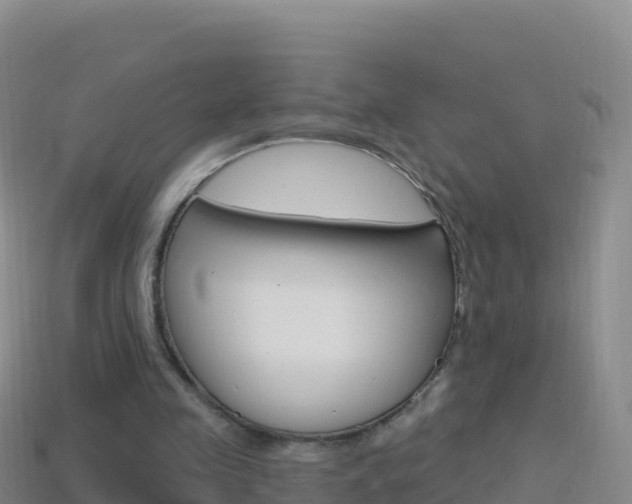 X0000114630341200910201026