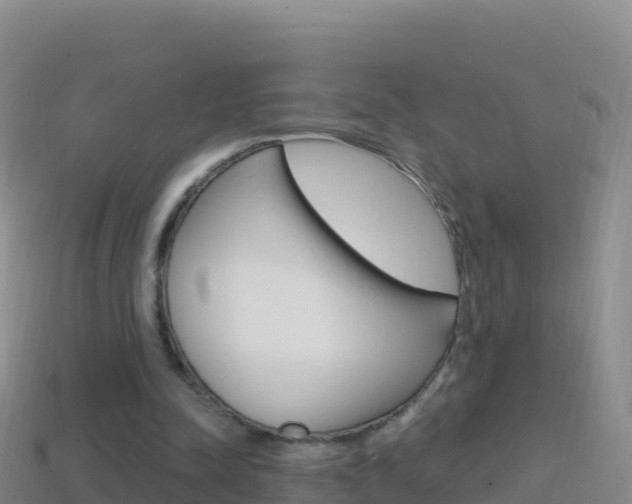 X0000114630342200910201026