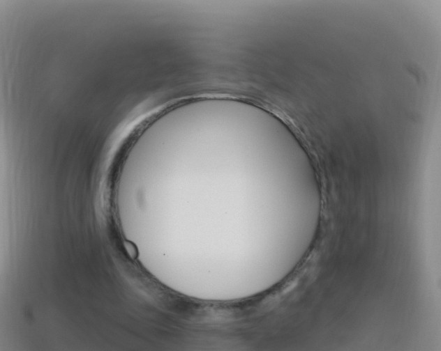 X0000114630343200910201026