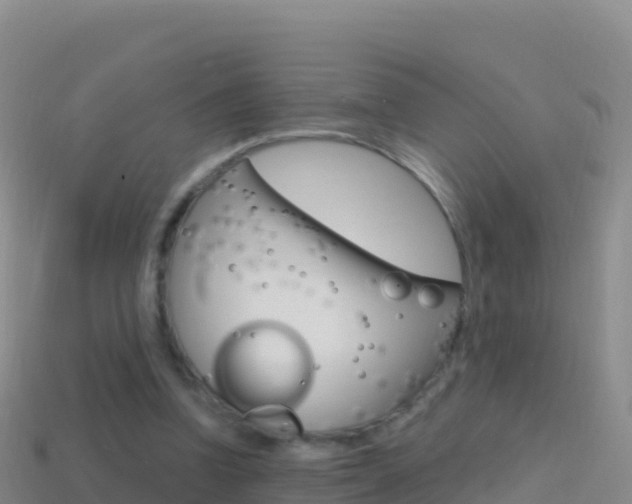 X0000114630346200910201026