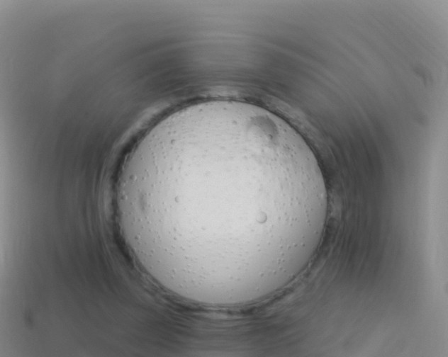 X0000114630347200910201026