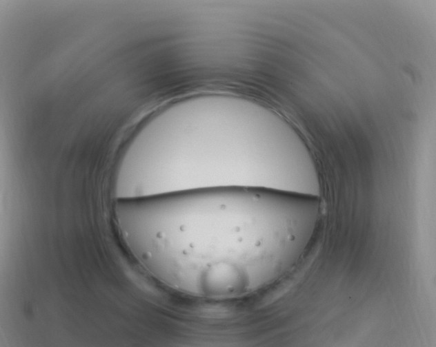 X0000114630349200910201027