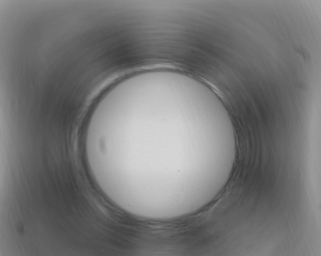 X0000114630350200910201027