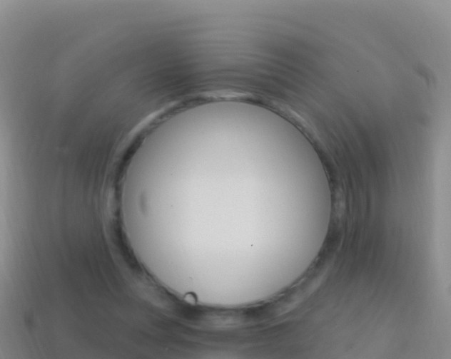 X0000114630351200910201027