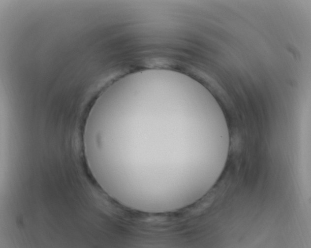 X0000114630353200910201027