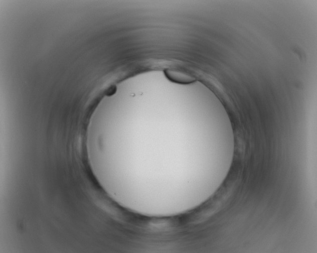 X0000114630357200910201027