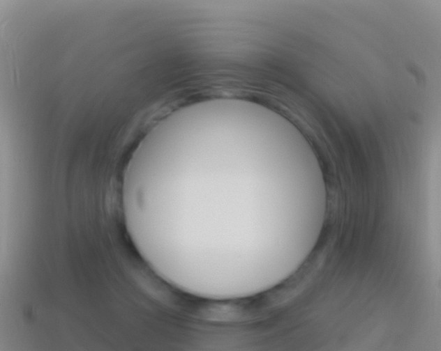 X0000114630361200910201027