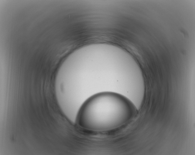 X0000114630362200910201027