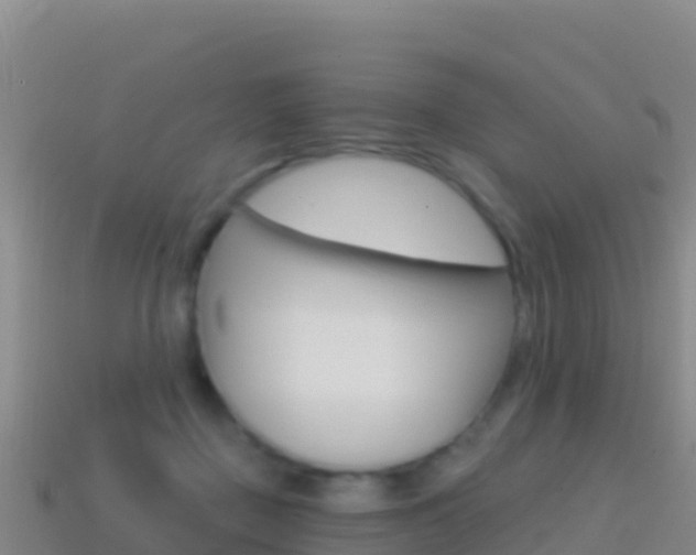 X0000114630363200910201027
