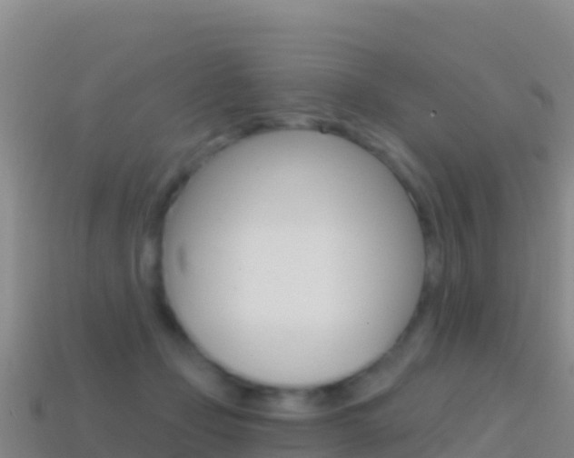 X0000114630365200910201027