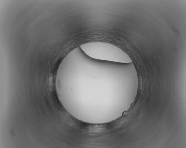 X0000114630378200910201027