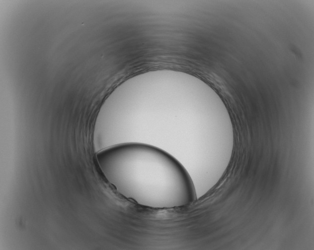 X0000114630382200910201027