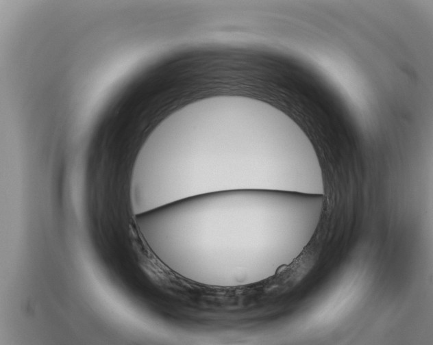 X0000114630383200910201027