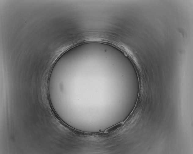 X0000114630385200910201026