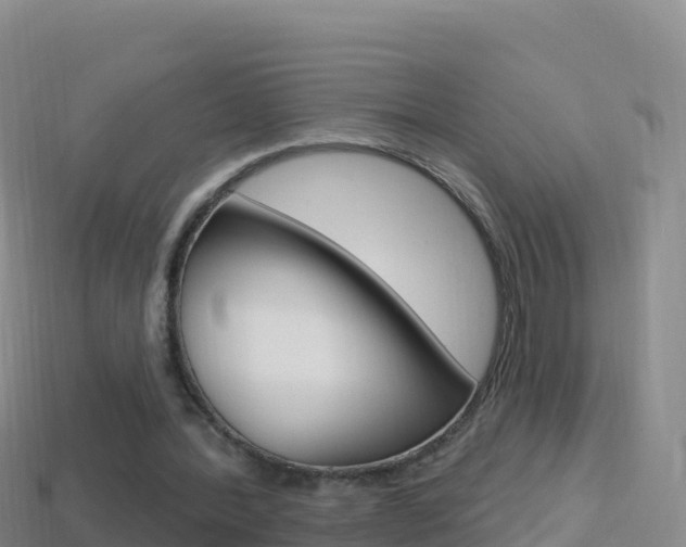 X0000114630388200910201026