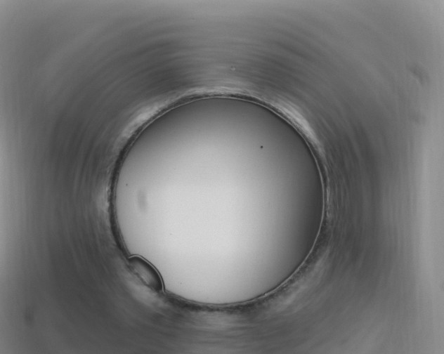 X0000114630389200910201026
