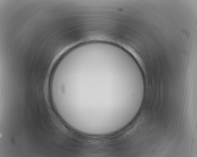 X0000114630391200910201026