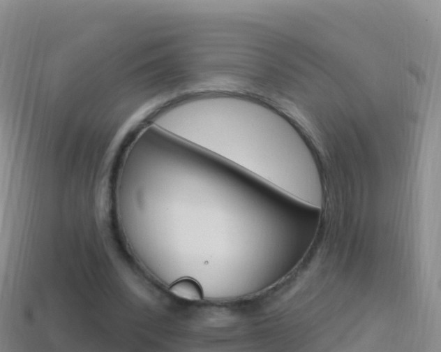 X0000114630392200910201026