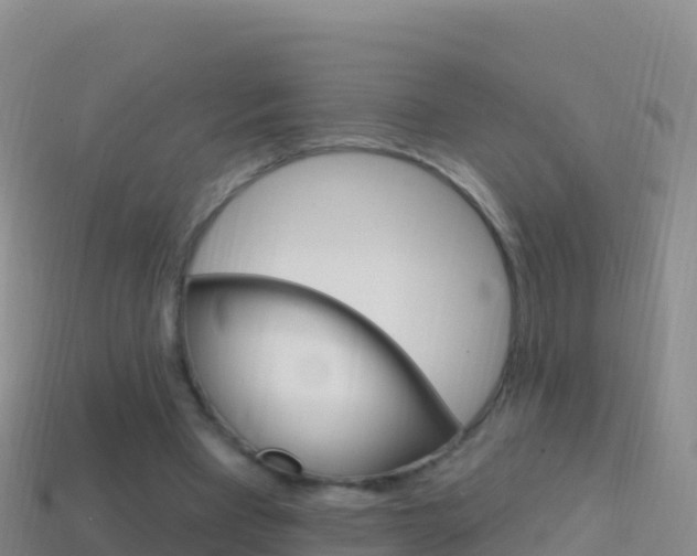 X0000114630393200910201026