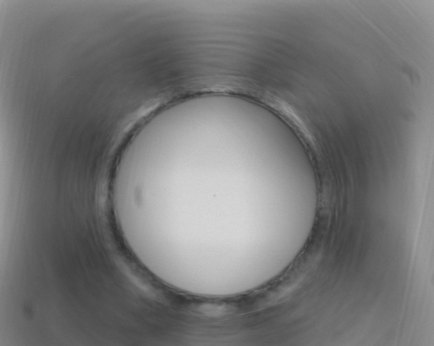 X0000114630394200910201026