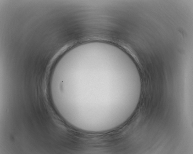 X0000114630395200910201026