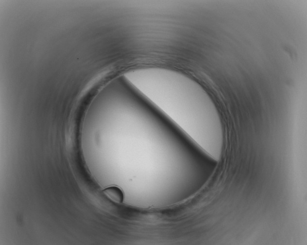 X0000114630396200910201026