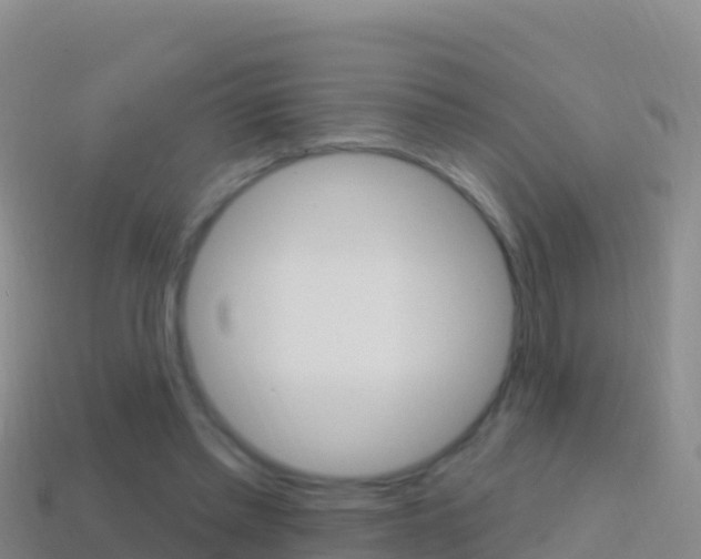 X0000114630397200910201026