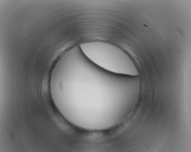 X0000114630398200910201026
