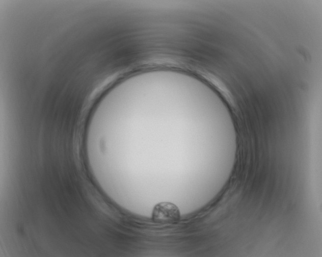 X0000114630399200910201026