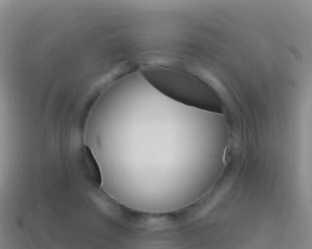 X0000114630401200910201026