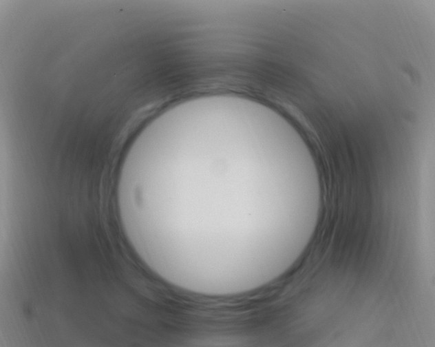 X0000114630403200910201026