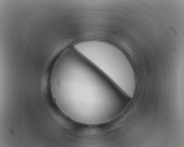 X0000114630404200910201026
