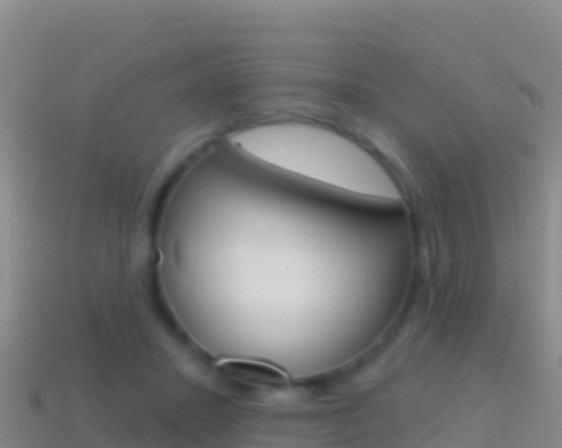 X0000114630407200910201026