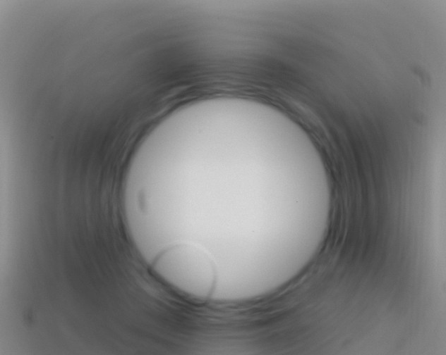 X0000114630409200910201026