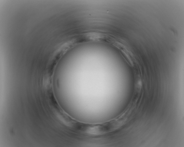 X0000114630411200910201026