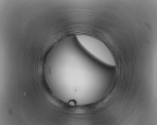 X0000114630412200910201026