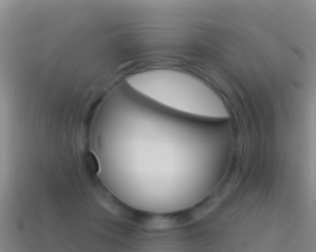X0000114630413200910201026