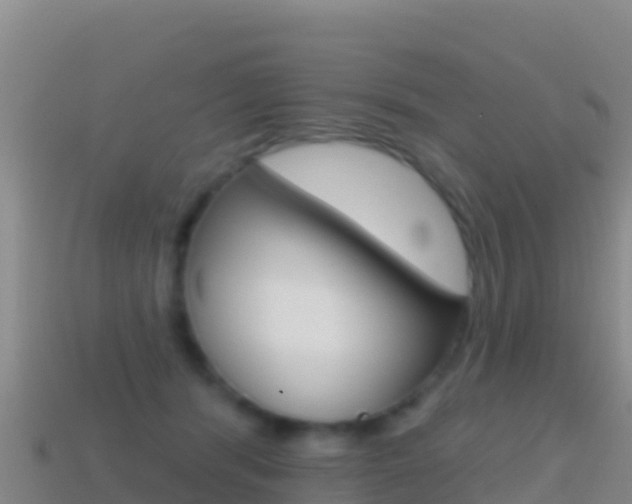 X0000114630416200910201026