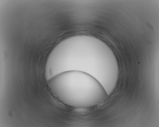 X0000114630417200910201026
