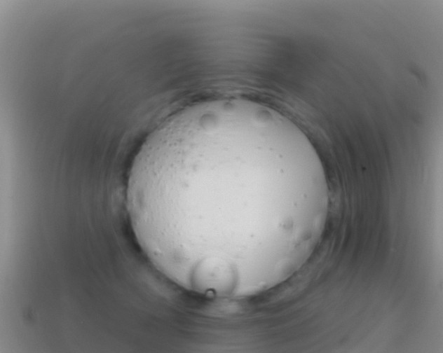 X0000114630418200910201026