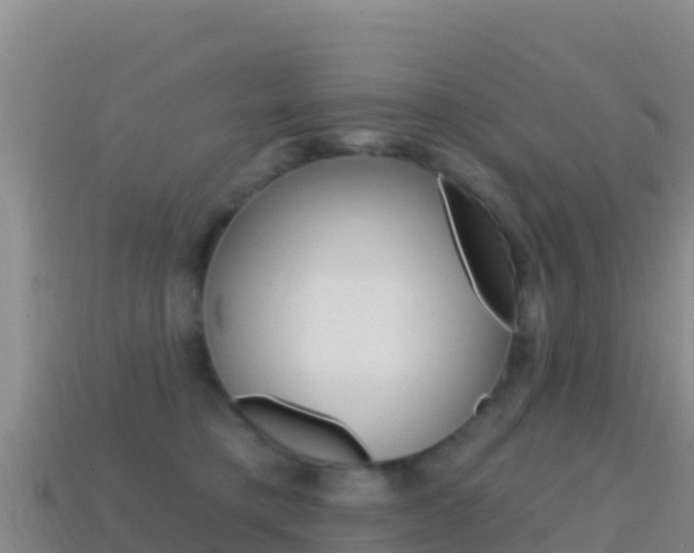 X0000114630421200910201026