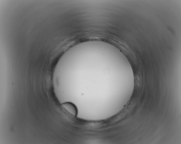 X0000114630422200910201026